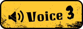 Voice3